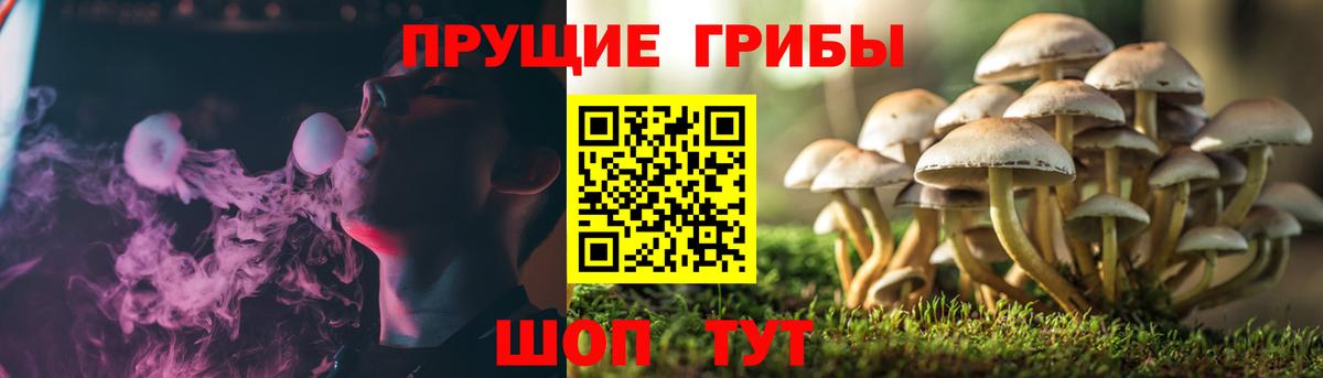 Псилоцибиновые грибы MAGIC MUSHROOMS  Вход с VPN  Рославль 